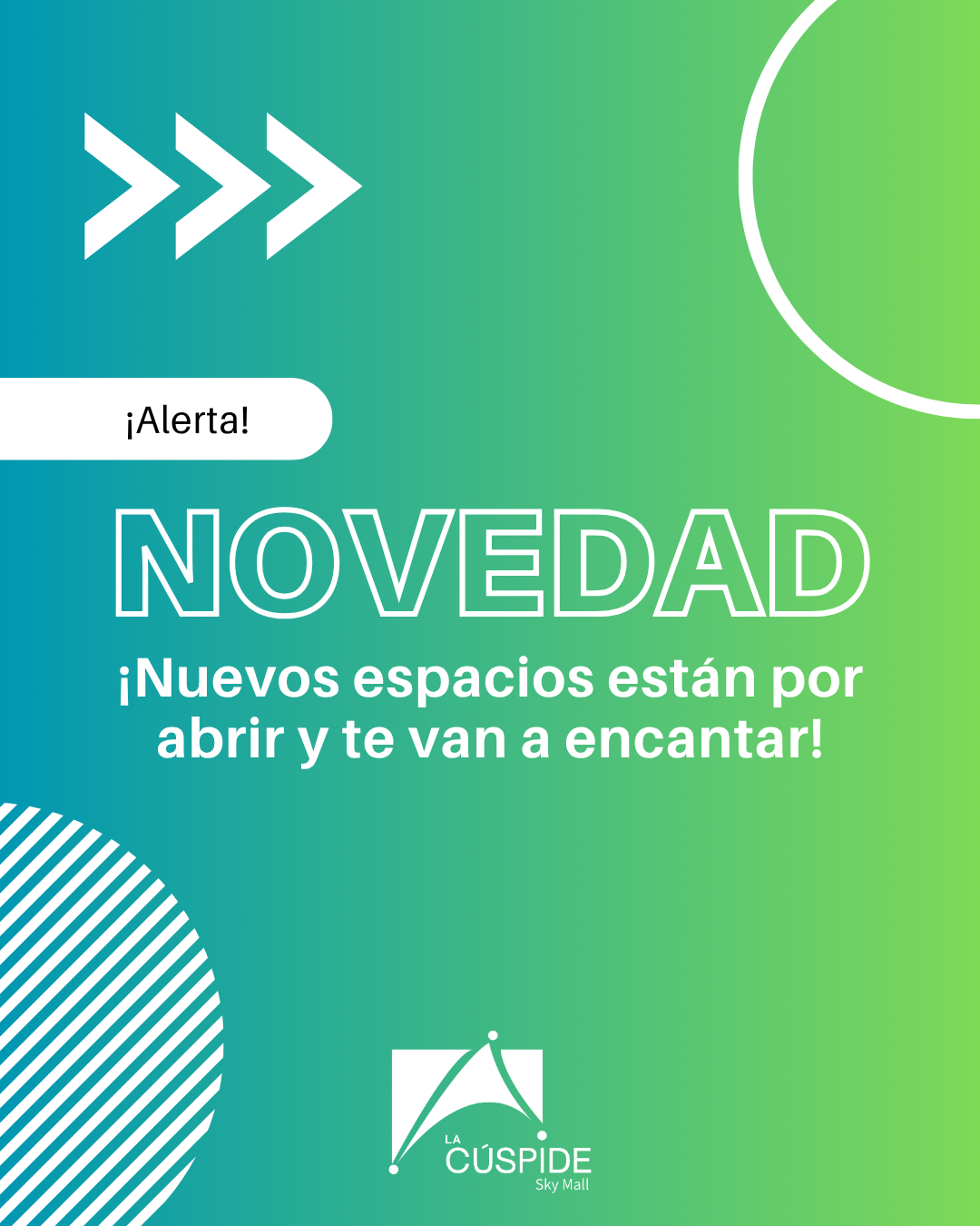 Cúspide